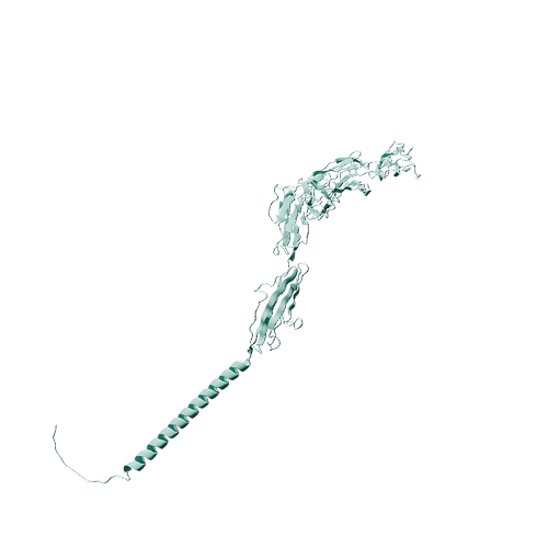 Human ICAM-1 (C-6His, HEK293)